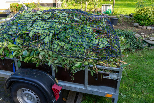 Best Construction Debris Removal  in Sarasota, FL